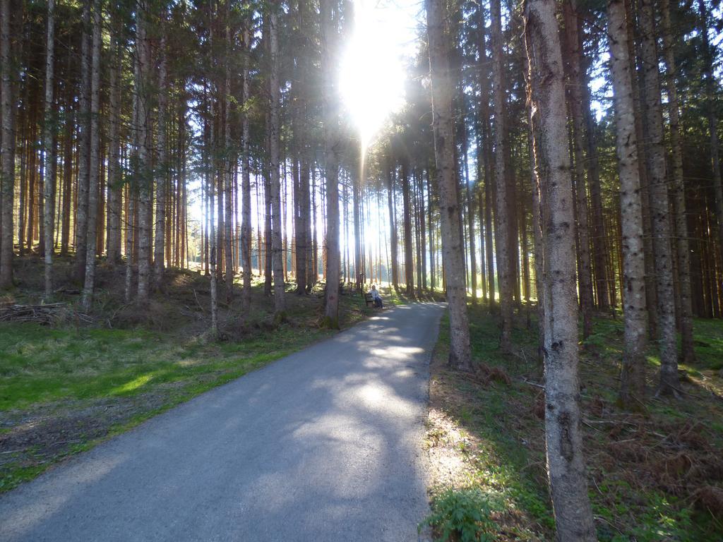 Gasthof Dorfschenke Stall エクステリア 写真